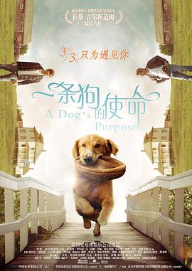 av小仙女