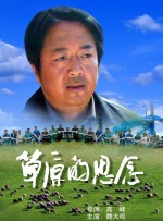 精品九九视频