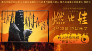 av电影小说