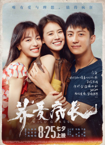 欧美激情一区二区三区在线视频观看